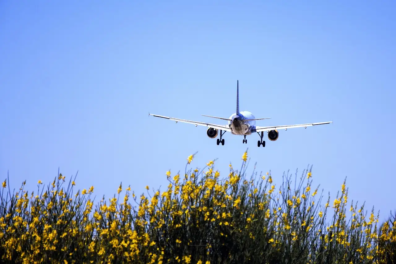 A passenger jet on final approach over yellow gorse bushes under a blue sky