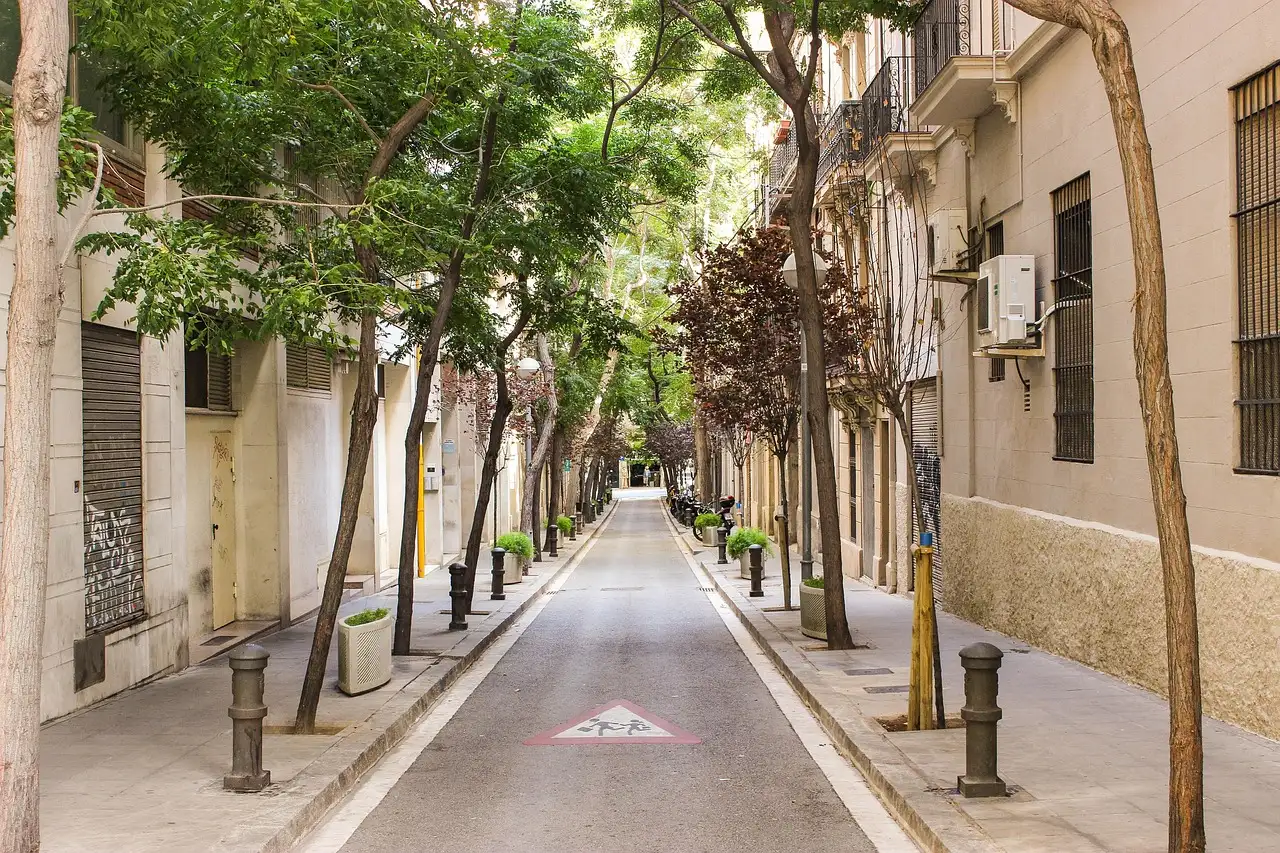A calm, tree-lined side street in Barcelona