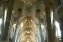 The white tree-like columns and star-shaped vault inside the Sagrada Família