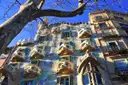 The mosaic facade and bone-shaped balconies of Casa Batlló behind the bare branches of a plane tree