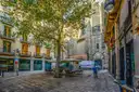Quiet morning square with a tree and old stone buildings in Barcelona's Gothic Quarter