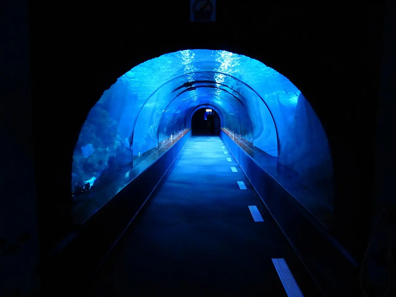 An empty glass tunnel through a large aquarium tank, lit in blue