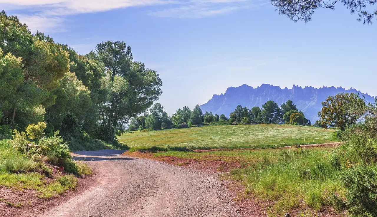 A dirt path through trees and fields, with the peaks of Montserrat on the skyline