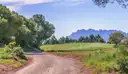 A dirt path through trees and fields, with the peaks of Montserrat on the skyline