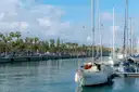 Sailboats moored along the palm-lined quay of Port Vell, Barcelona