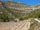 Terraced vineyards in a valley below layered rock cliffs, with a stone farmhouse