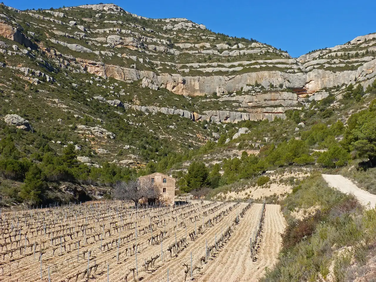 Terraced vineyards in a valley below layered rock cliffs, with a stone farmhouse
