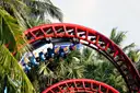 A red roller coaster loop between palm trees