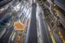 Tall white columns branching like trees inside the Sagrada Família, lit by colored windows