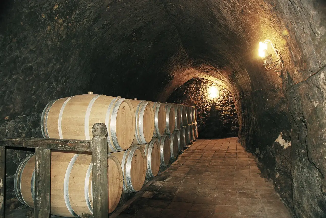 Oak barrels lined up in a lit underground cellar tunnel