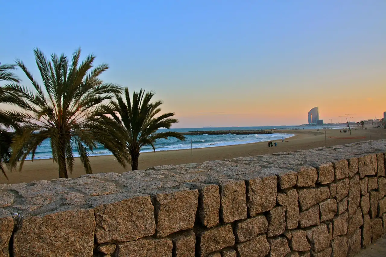 A palm-lined Barcelona beach under a clear blue sky at golden hour