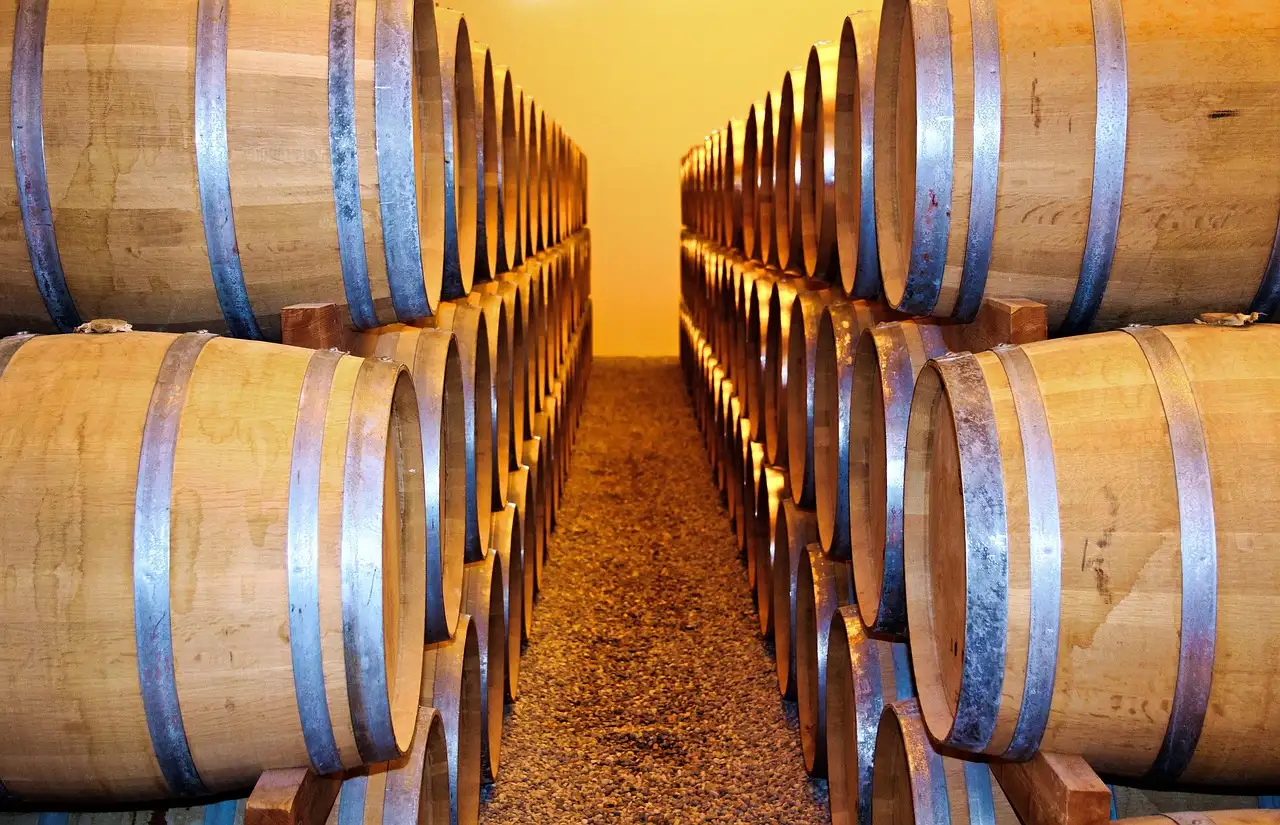 Two long rows of oak wine barrels in a cellar, lit warm at the far end
