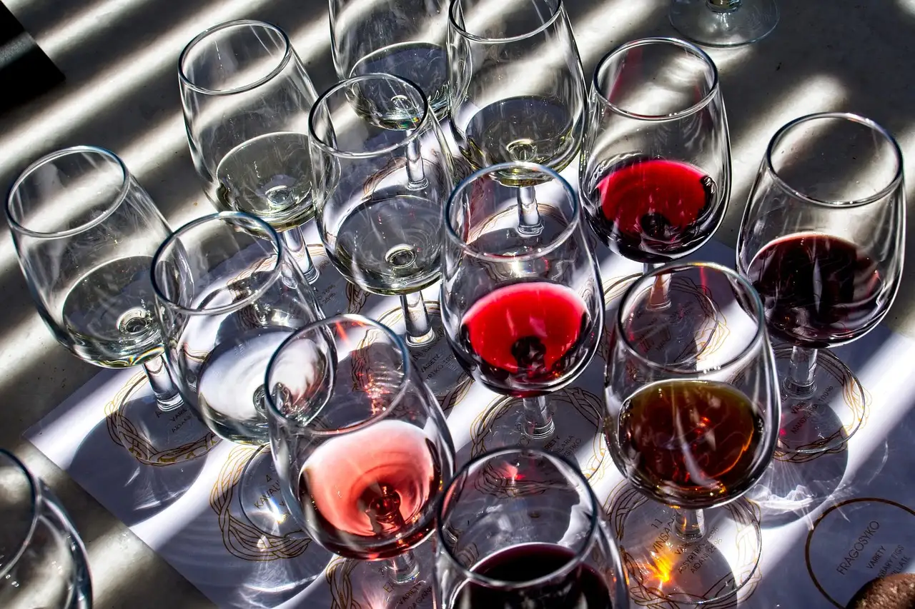 Rows of wine glasses with small pours of red and rosé wine in the sun