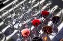 Rows of wine glasses with small pours of red and rosé wine in the sun